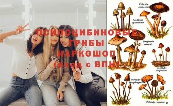 гашишное масло Горнозаводск