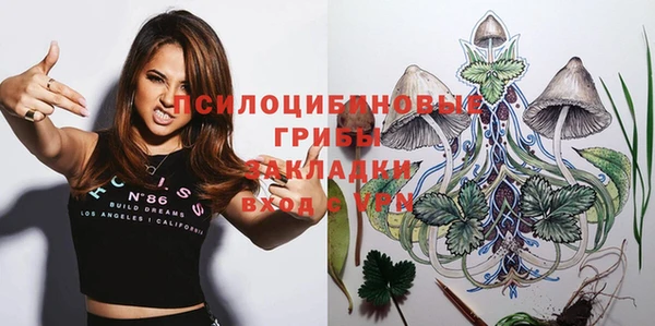 PSILOCYBIN Горно-Алтайск