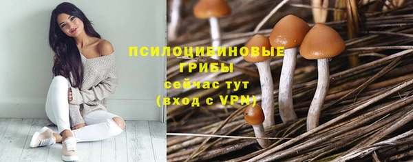 винт Бронницы