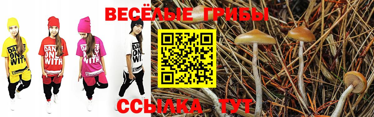 Галлюциногенные грибы MAGIC MUSHROOMS  Вход с VPN  Печора 