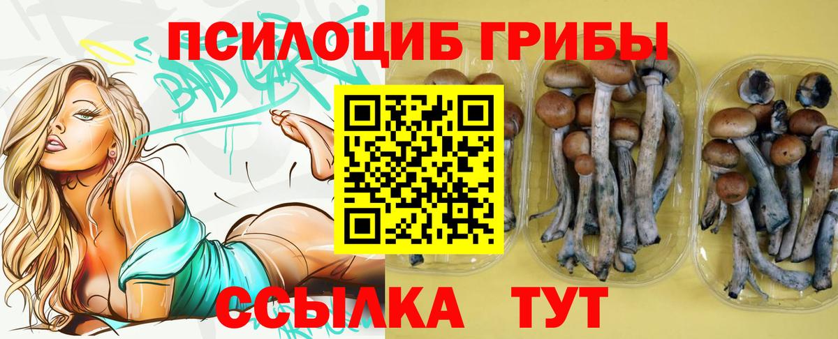 Галлюциногенные грибы прущие грибы Печора