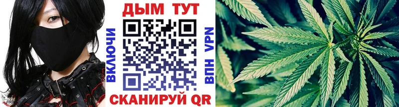 Конопля планчик  Печора 