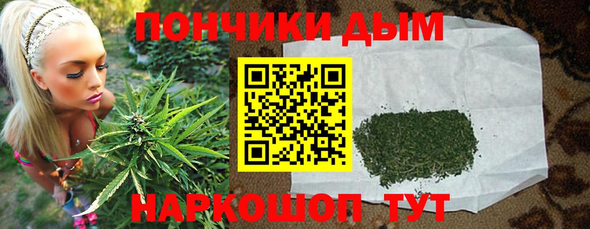 Конопля план  Вход с VPN  Бошки Шишки Ganja  Канабис конопля  Печора 